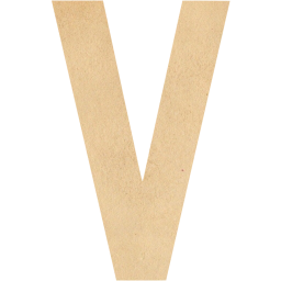 letter v icon