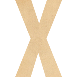 letter x icon