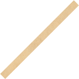 line 2 icon