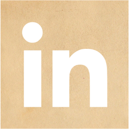 linkedin 2 icon