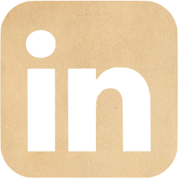 linkedin 6 icon