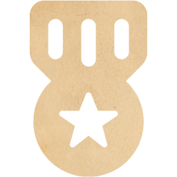 medal 3 icon