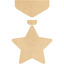 medal