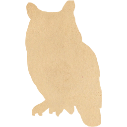 owl icon