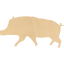 pig 10