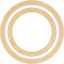 plasmid