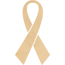ribbon 15 icon