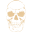 skull 41