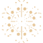 snowflake 12
