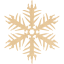 snowflake 16