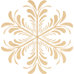 snowflake 17 icon