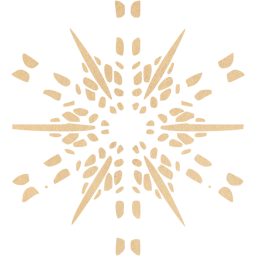 snowflake 19 icon