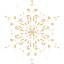 snowflake 24