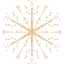 snowflake 31