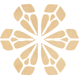 snowflake 9 icon