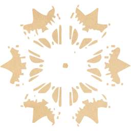 snowflake icon