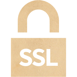ssl badge 4 icon
