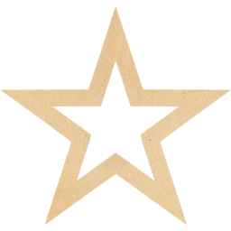 star 4 icon