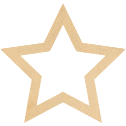 star 5 icon