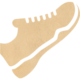 trainers icon