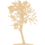 tree 16