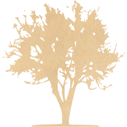 tree 21 icon