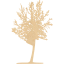 tree 27