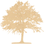 tree 46