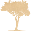 tree 51