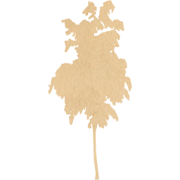 tree 58 icon