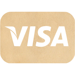 visa icon