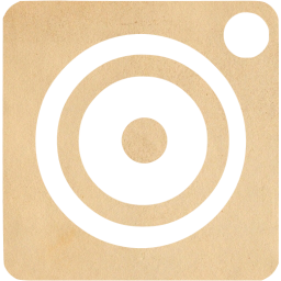 webcam 4 icon
