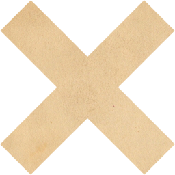 x mark icon