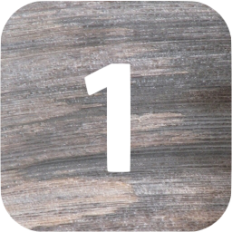 1 filled icon