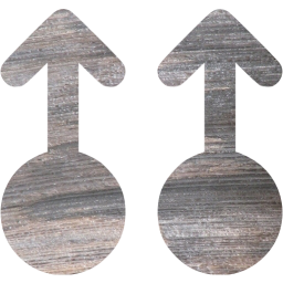 2 fs swipe up icon