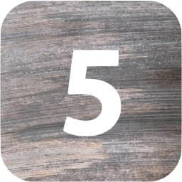 5 filled icon