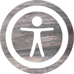 accessibility 2 icon