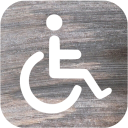 accessibility icon