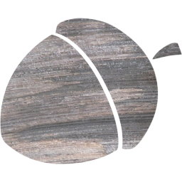 acorn 7 icon