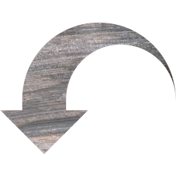 action undo icon