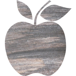 apple 2 icon