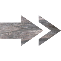 arrow 13 icon
