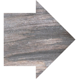 arrow 14 icon