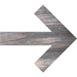 arrow 20 icon