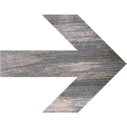arrow 21 icon