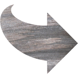 arrow 55 icon