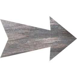 arrow right 4 icon