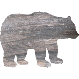 bear 2 icon
