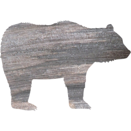 bear 4 icon