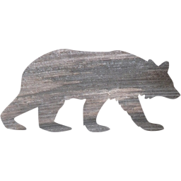 bear 5 icon